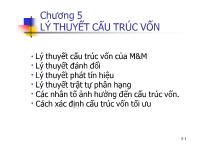 Bài giảng Chương 5: Lý thuyết cấu trúc vốn (tiếp)