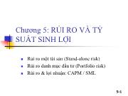 Bài giảng Chương 5: Rủi ro và tỷ suất sinh lợi