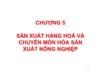 Bài giảng Chương 5: Sản xuất hàng hoá và chuyên môn hóa sản xuất nông nghiệp