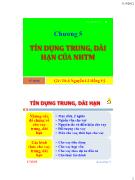 Bài giảng Chương 5: Tín dụng trung, dài hạn của ngân hàng thương mại - Nguyễn Lê Hồng Vỹ