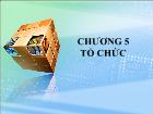 Bài giảng Chương 5: Tổ chức (tiết 1)