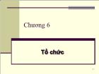 Bài giảng Chương 6: Tổ chức (tiếp)