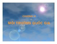 Bài giảng Chương III: Môi trường quốc gia