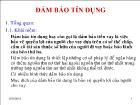 Bài giảng Đảm bảo tín dụng