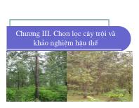 Bài giảng Điều tra rừng - Chương III: Chọn lọc cây trội và khảo nghiệm hậu thế