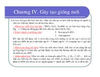 Bài giảng Điều tra rừng - Chương IV: Gây tạo giống mới