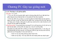 Bài giảng Điều tra rừng - Chương IV: Gây tạo giống mới