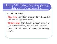 Bài giảng Điều tra rừng - Chương VII: Nhân giống bằng phương pháp nuôi cấy mô và tế bào