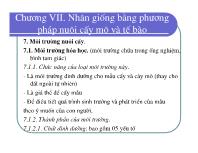 Bài giảng Điều tra rừng - Chương VII: Nhân giống bằng phương pháp nuôi cấy mô và tế bào