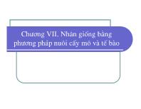 Bài giảng Điều tra rừng - Chương VII: Nhân giống bằng phương pháp nuôi cấy mô và tế bào