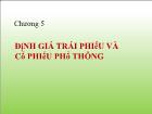 Bài giảng Định giá trái phiếu và cổ phiếu phổ thông