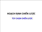 Bài giảng Hoạch định chiến lược: Tùy chọn chiến lược