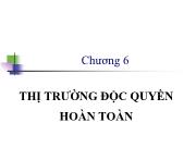 Bài giảng Kinh tế lượng - Chương 6: Thị trường độc quyền hoàn toàn