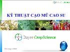 Bài giảng Kỹ thuật cạo mũ cao su