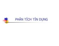 Bài giảng Phân tích tín dụng (tiếp)