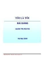 Bài giảng Quản trị rủi ro (tiếp theo)