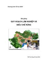 Bài giảng Quy hoạch lâm nghiệp và điều chế rừng