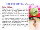 Bài giảng Sâu đục vỏ trái prays citri