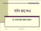 Bài giảng Tín dụng - Nguyễn Vĩnh Hùng