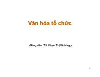 Bài giảng Văn hóa tổ chức - Phạm Thị Bích Ngọc