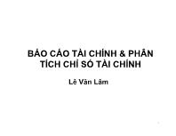 Báo cáo tài chính và phân tích chỉ số tài chính