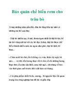 Bảo quản chế biến rơm cho trâu bò