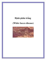 Bệnh phân trắng (White faeces disease)