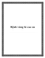 Bệnh vàng lá cao su