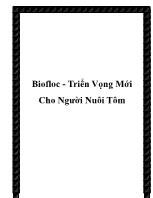 Biofloc - Triển vọng mới cho người nuôi tôm