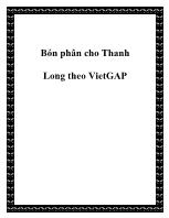 Bón phân cho Thanh Long theo VietGAP