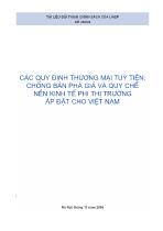 Các quy định thương mại tuỳ tiện: Chống bán phá giá và quy chế nền kinh tế phi thị trường áp đặt cho Việt Nam