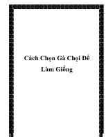 Cách chọn gà chọi để làm giống