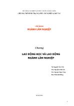 Cẩm nang ngành Lâm nghiệp - Chương: Lao động học và lao động ngành lâm nghiệp