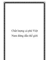 Chất lượng cà phê Việt Nam đứng đầu thế giới