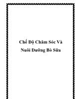 Chế độ chăm sóc và nuôi dưỡng bò sữa