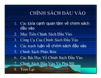 Chính sách đầu vào