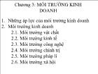 Chương 3: Môi trường kinh doanh (tiếp theo)