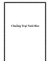 Chuồng trại nuôi heo