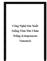 Công nghệ sản xuất giống tôm thẻ chân trắng (litopenaeus vanamei)