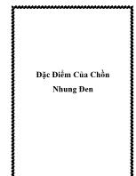 Đặc điểm của chồn nhung đen