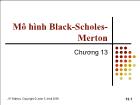 Đầu tư chứng khoán - Chương 13: Mô hình Black - Scholes - Merton
