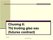 Đầu tư chứng khoán - Chương 6: Thị trường giao sau (futures contract)