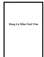 Dùng lá mắm nuôi tôm