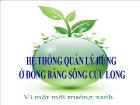 Hệ thống quản lý rừng ở đồng bằng sông Cửu Long