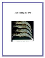 Hội chứng Taura