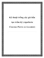 K ỹ thuật trồng cây gió bầu tạo trầm kỳ (Aquilaria Crassna Pierre ex Lecomte)