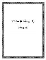 Kĩ thuật trồng cây bông vải