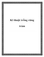 Kĩ thuật trồng rừng tràm