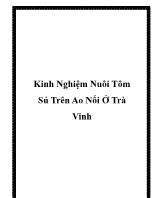 Kinh nghiệm nuôi tôm sú trên ao nổi ở Trà Vinh