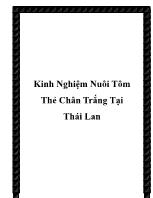 Kinh nghiệm nuôi tôm thẻ chân trắng tại Thái Lan